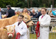 Malton Show 2024